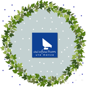 Сказочные новинки от Acufactum!