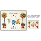 Купить недорого   Набор для вышивания Anchor "Birth Sampler" 15*20см, MEZ Венгрия, PSC506  в интернет магазине Фэмили хобби