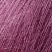  600, dewberry ежевика, фиолетовый,ШтрихКод: 5013712932557