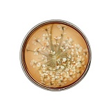 Пуговица "Цветок" на ножке, размер 23мм, Union Knopf by Prym, U0453767023001601-10